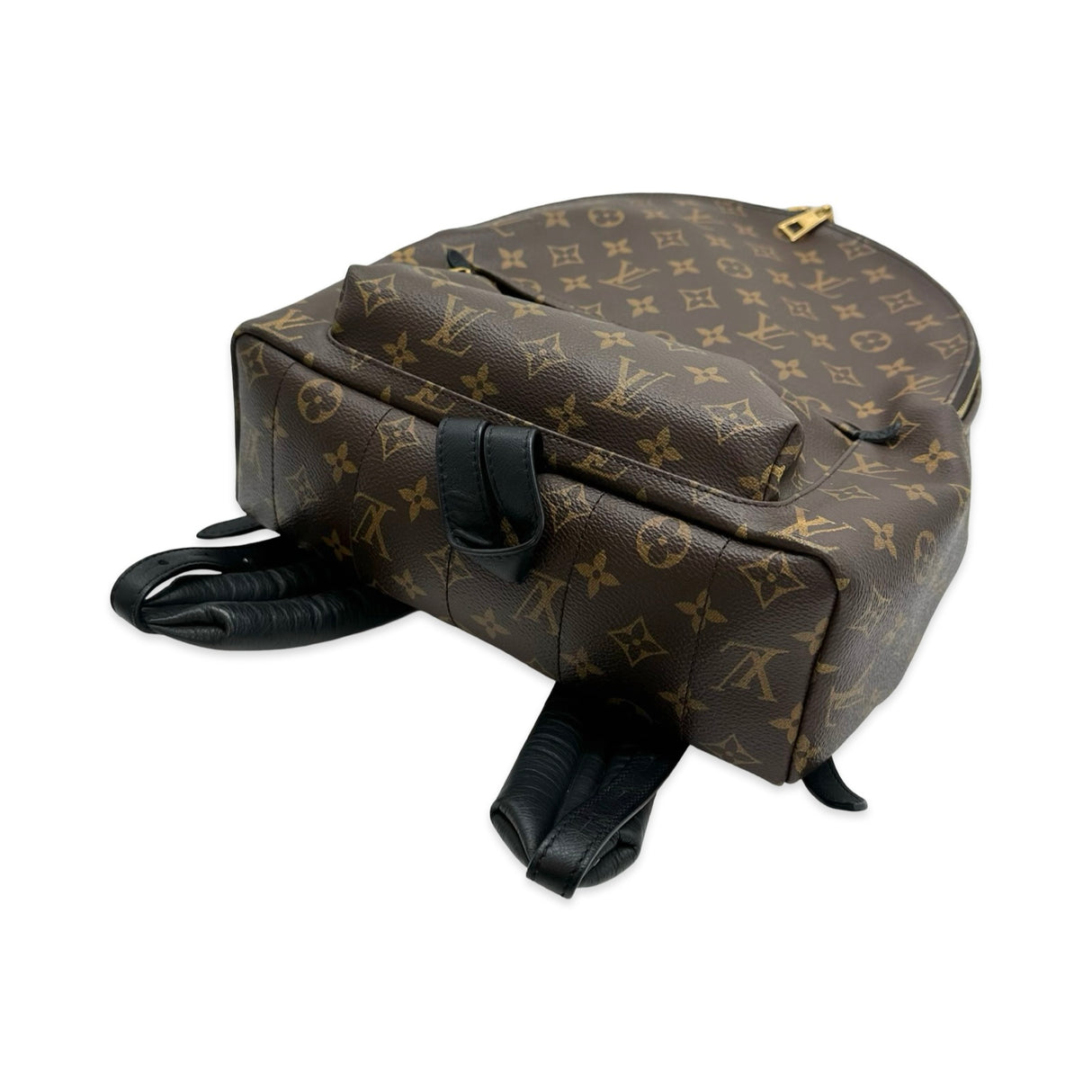 Monogram Palm Springs MM Backpack