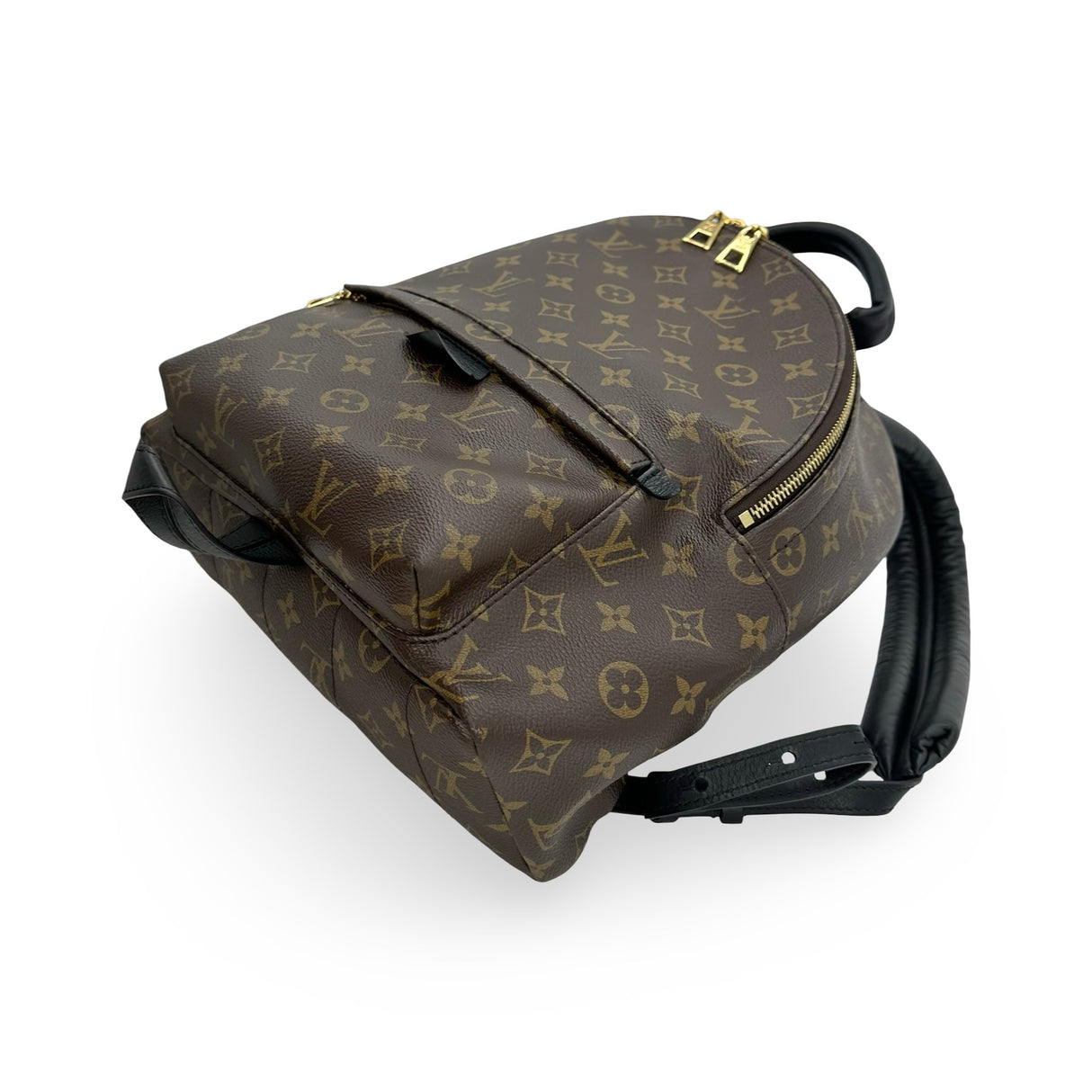 LOUIS VUITTON: Monogram Palm Springs MM Backpack