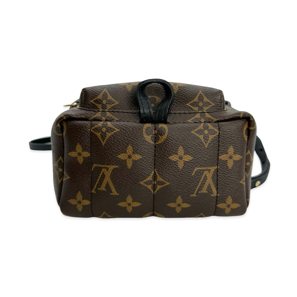 Monogram Mini Palm Springs Backpack