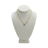 LOUIS VUITTON: Iconic Necklace