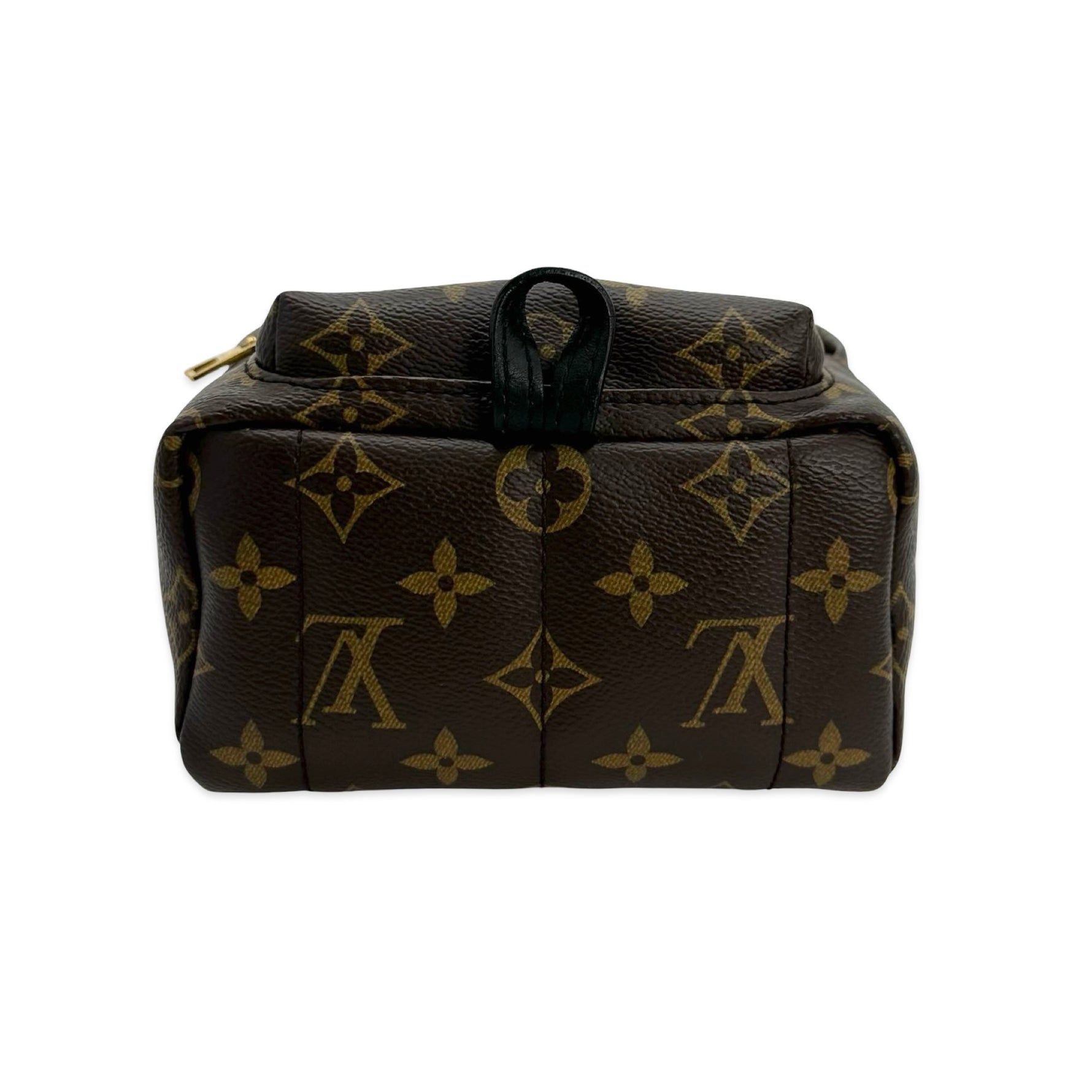 LOUIS VUITTON Palm Springs Mini My LV World Tour Personnalisable Monogram