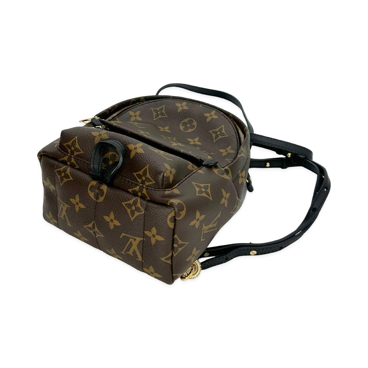 Monogram Mini Palm Springs Backpack