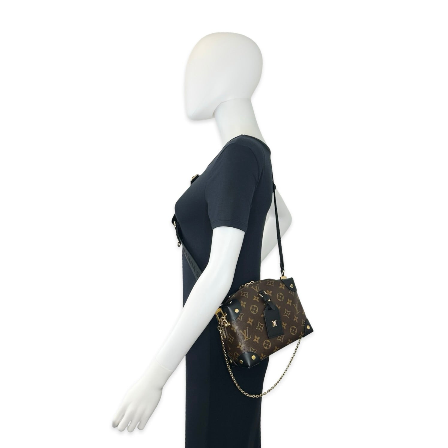 Louis Vuitton Monogram Petite Malle Souple