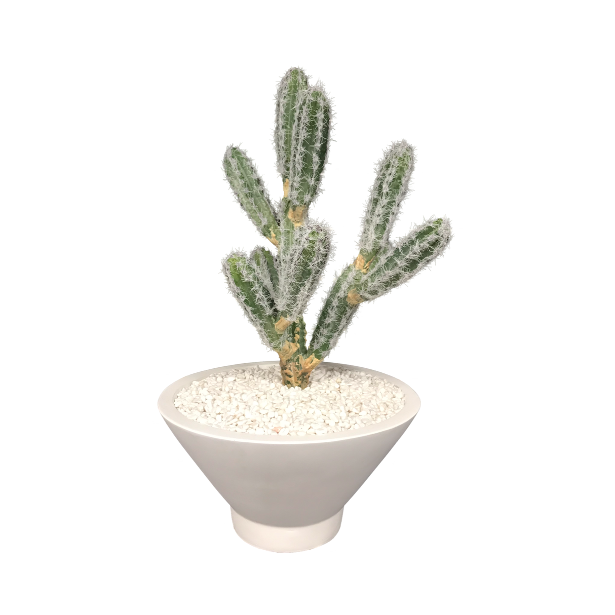 Decorative Faux Plants