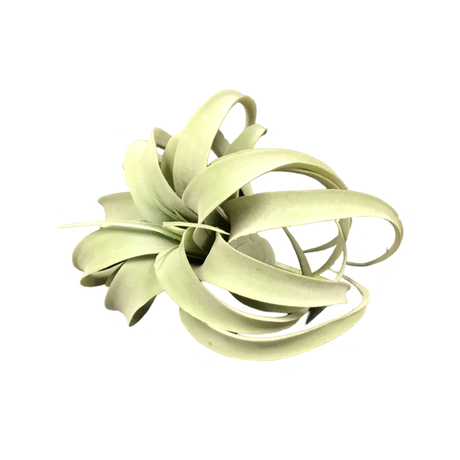 Decorative Faux Plants