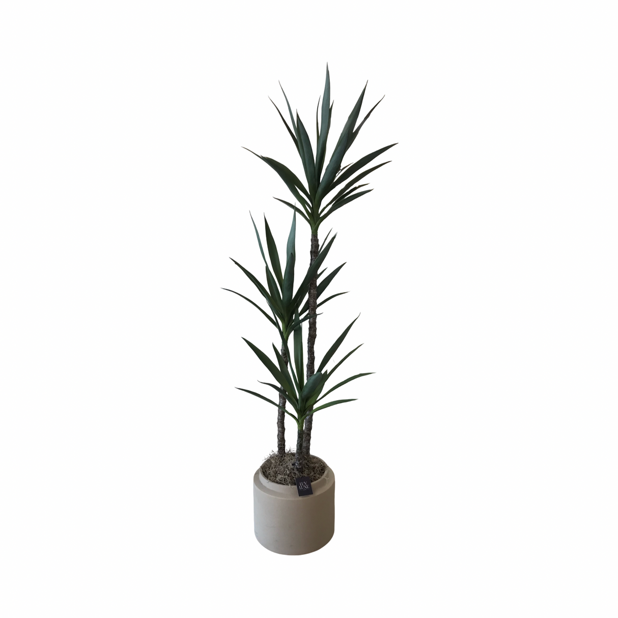 Decorative Faux Plants